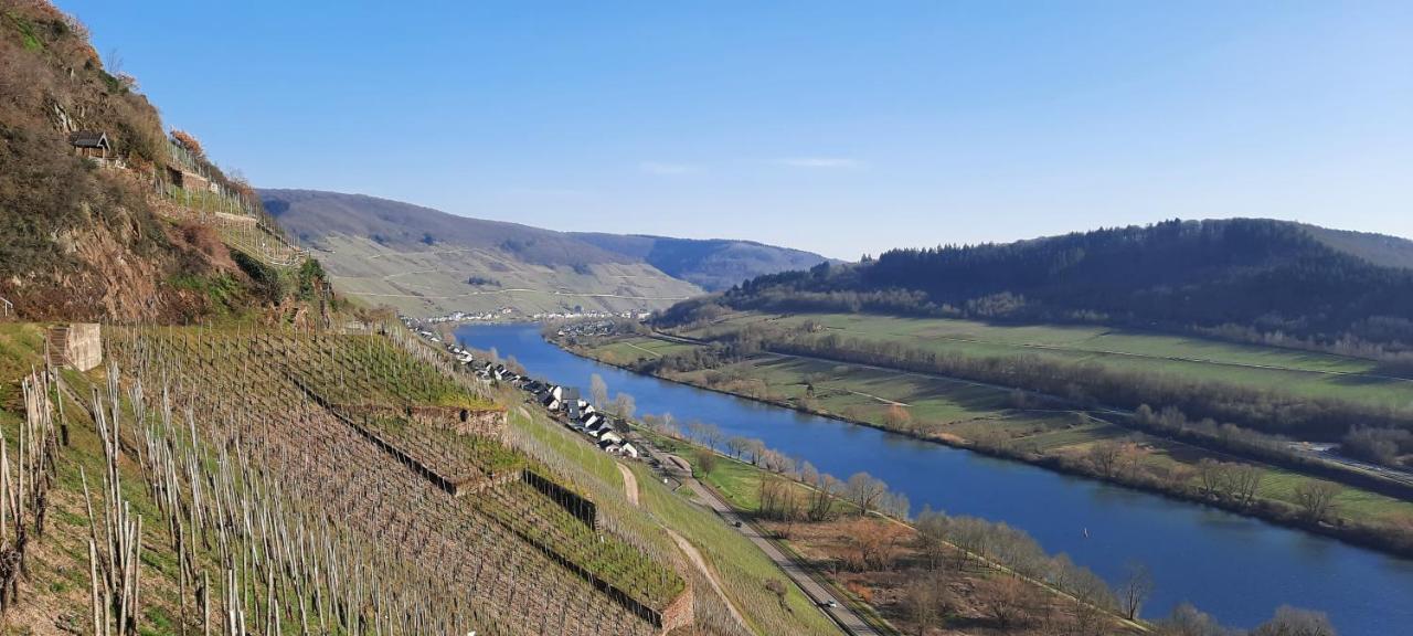 Apartment In Spay Smile Zell-Merl Mosel Exterior foto